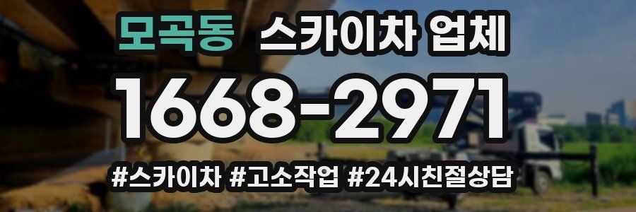 모곡동 스카이차 업체