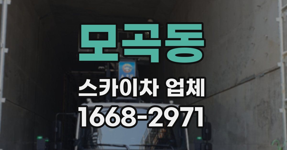 모곡동 스카이차 업체