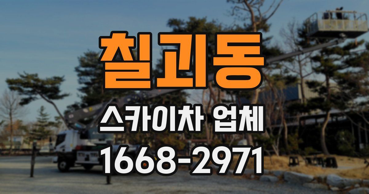 칠괴동 스카이차 업체