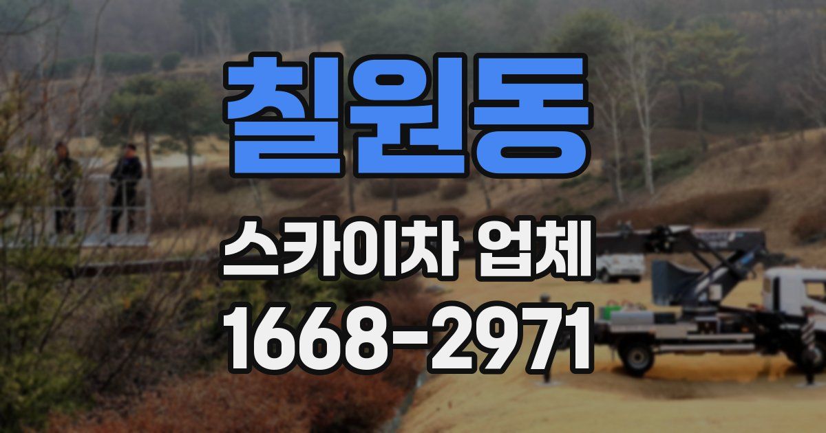 칠원동 스카이차 업체