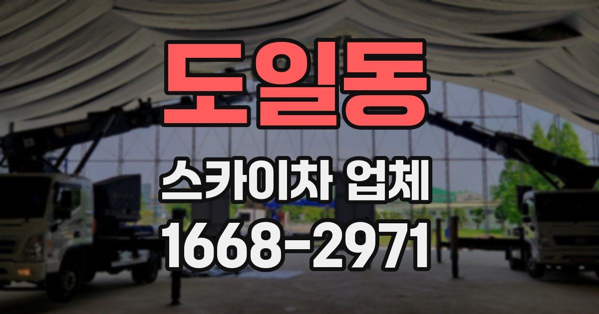 도일동 스카이차 업체