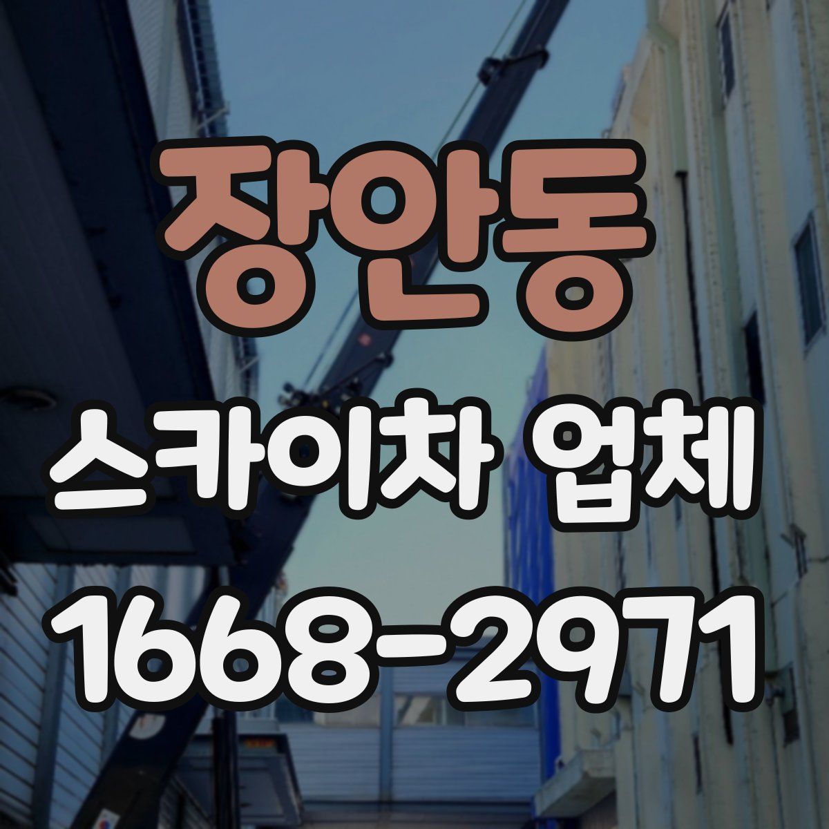장안동 스카이차 업체