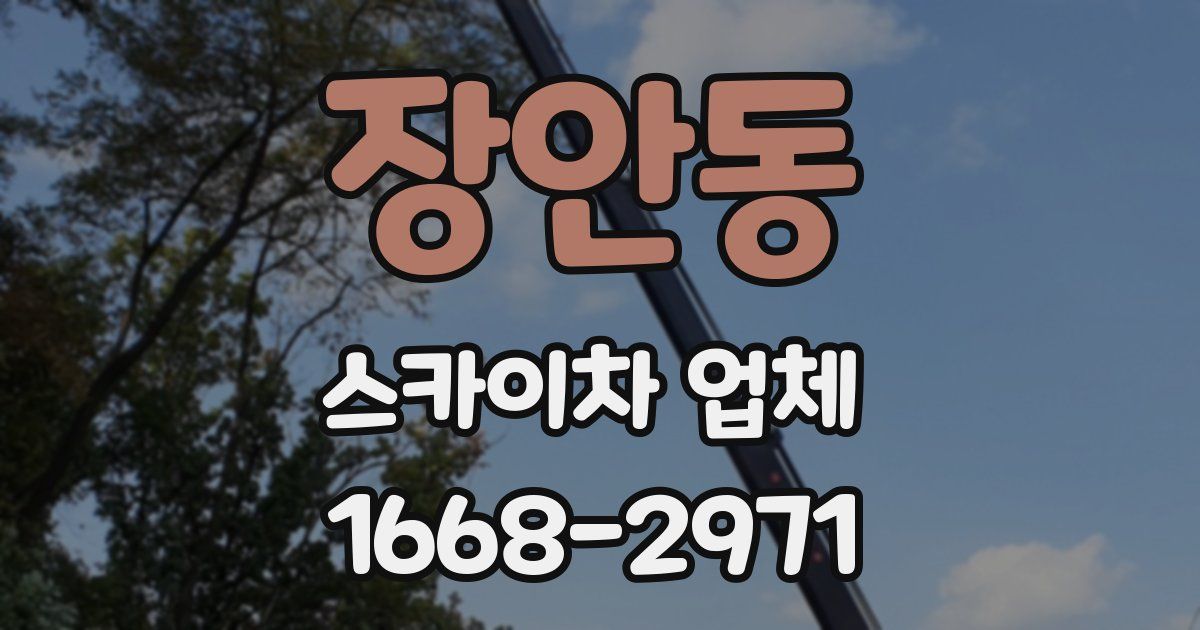 장안동 스카이차 업체