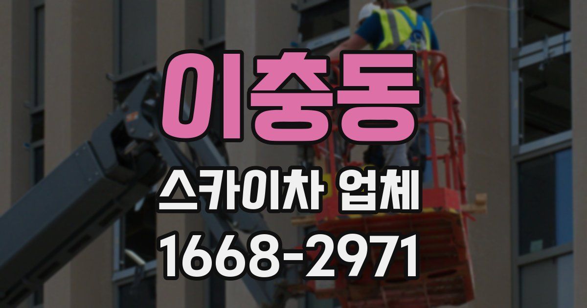 이충동 스카이차 업체