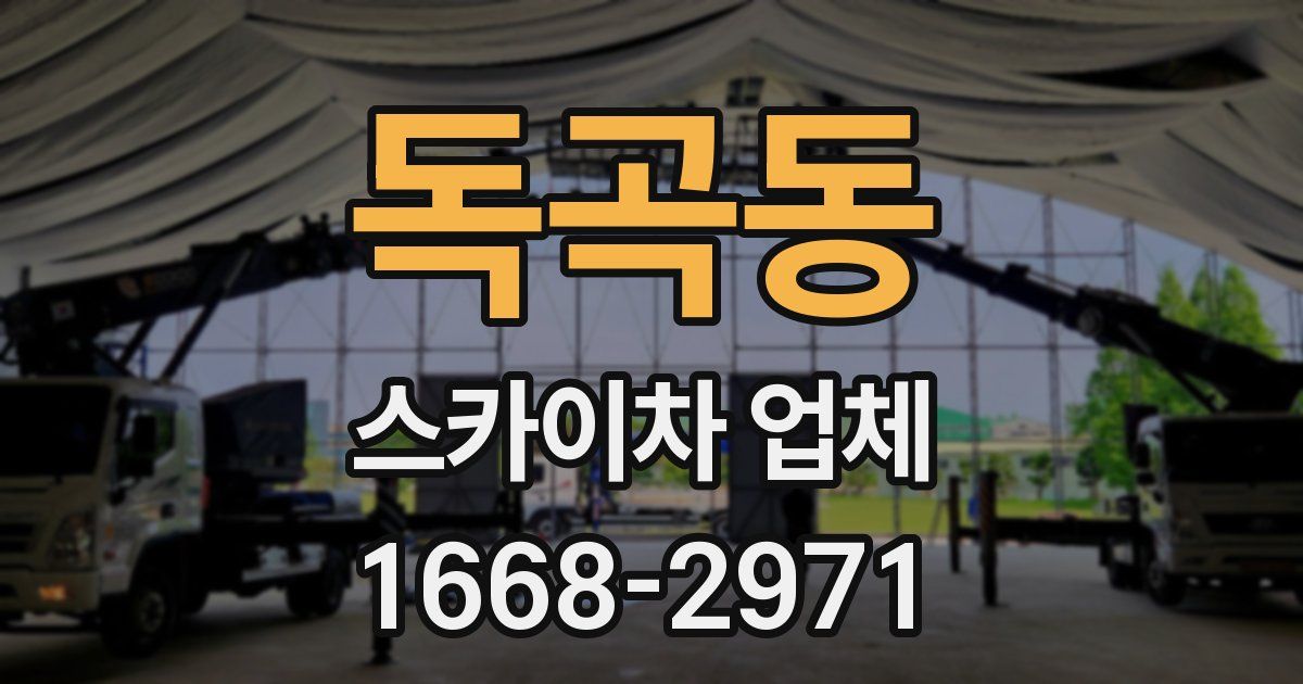 독곡동 스카이차 업체