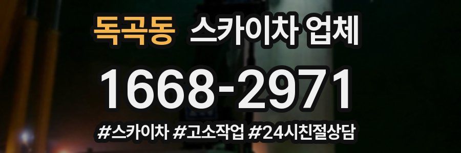 독곡동 스카이차 업체