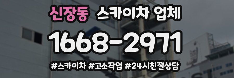신장동 스카이차 업체
