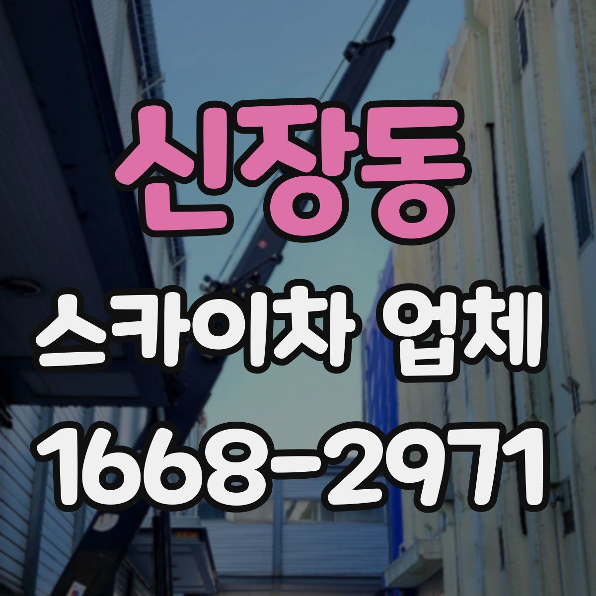 신장동 스카이차 업체