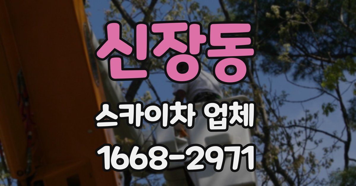 신장동 스카이차 업체