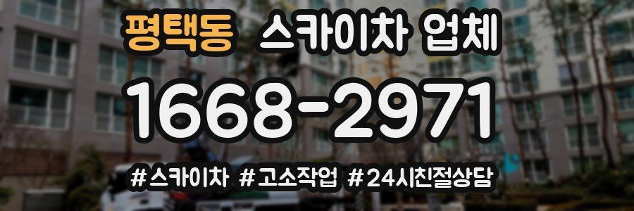 평택동 스카이차 업체