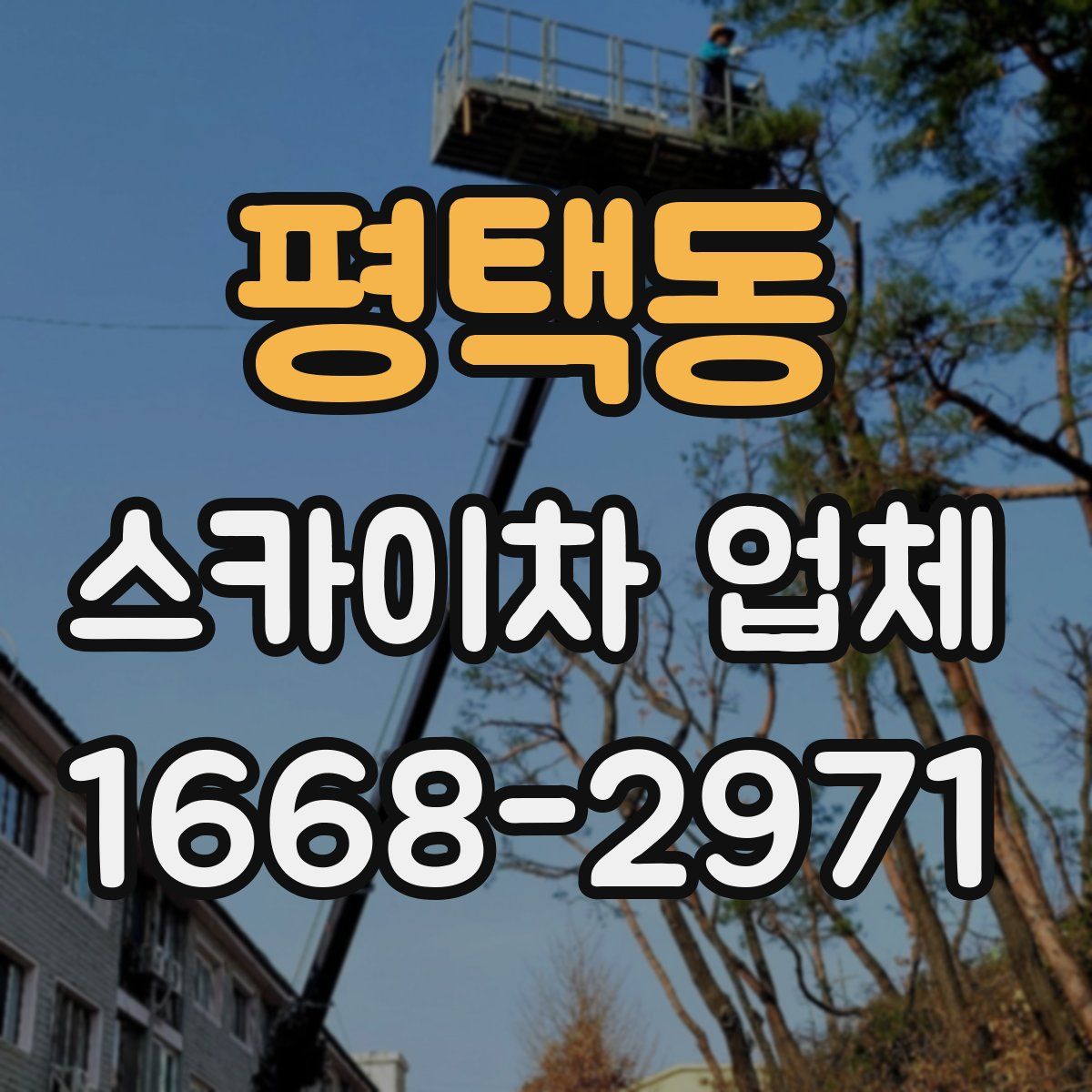 평택동 스카이차 업체