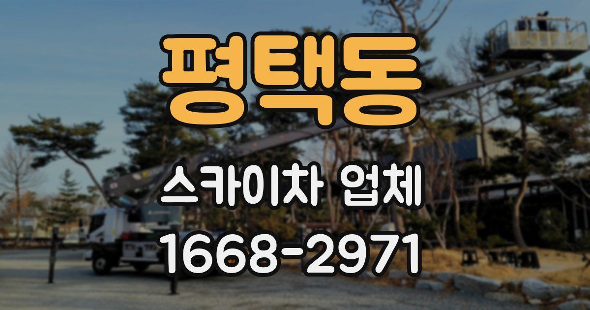 평택동 스카이차 업체