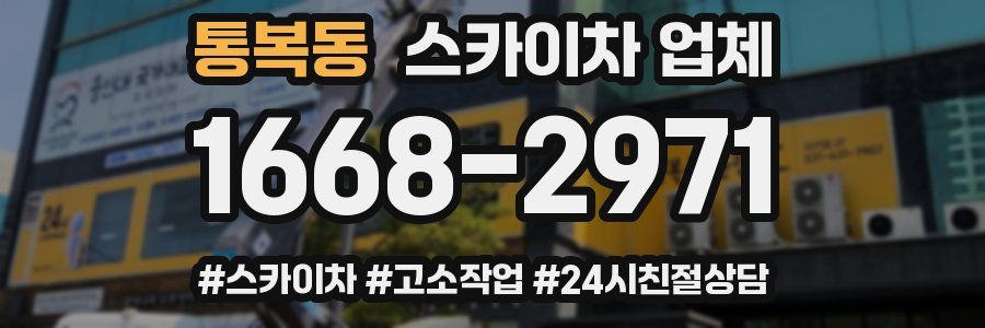 통복동 스카이차 업체
