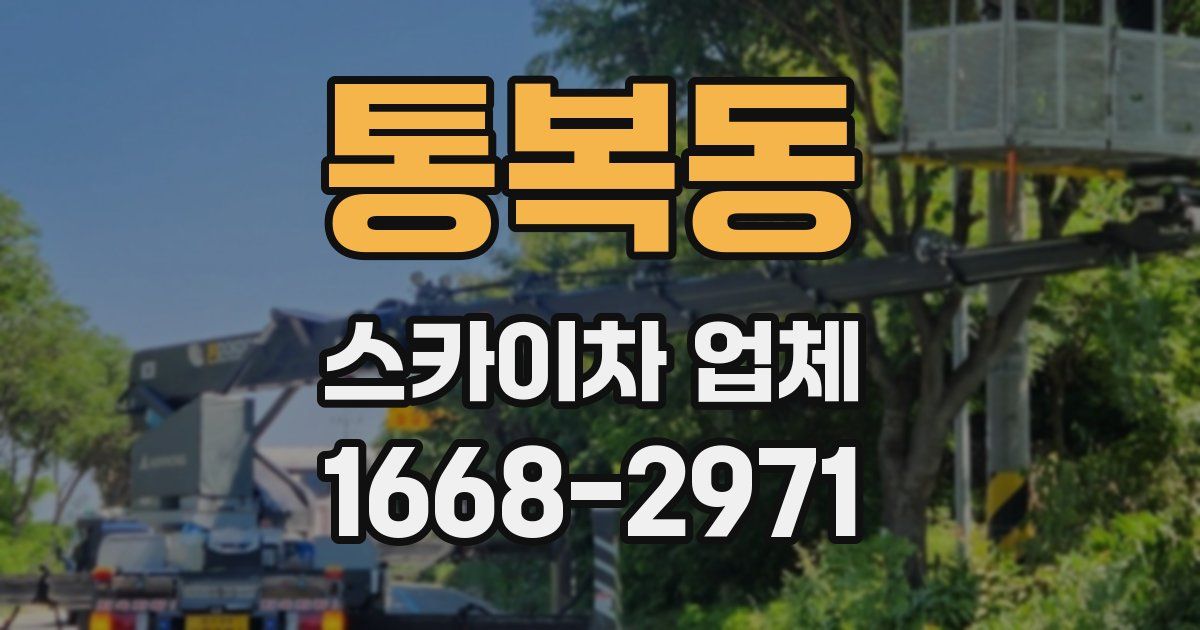 통복동 스카이차 업체