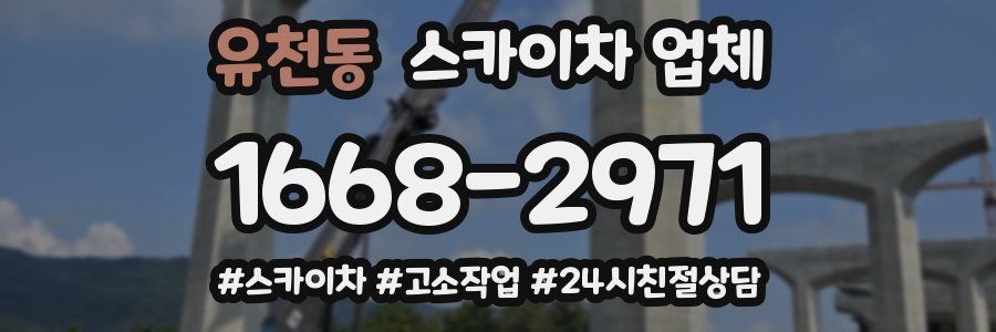유천동 스카이차 업체