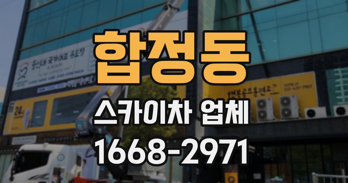 합정동 스카이차 업체