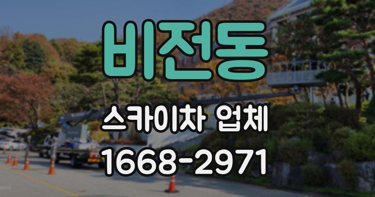 비전동 스카이차 업체