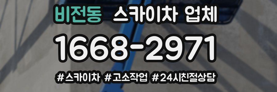 비전동 스카이차 업체