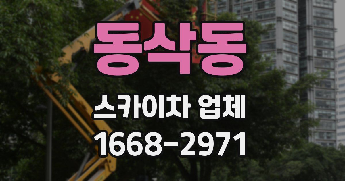 동삭동 스카이차 업체