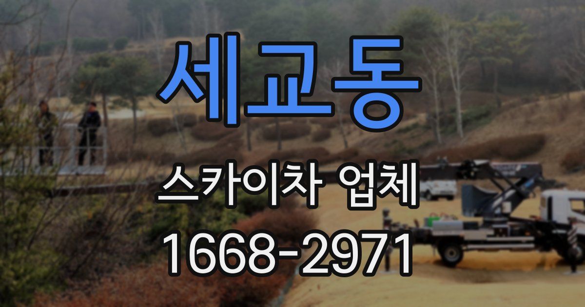 세교동 스카이차 업체