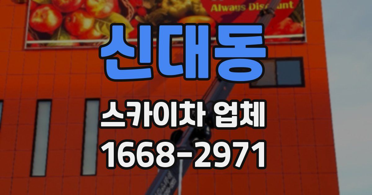 신대동 스카이차 업체
