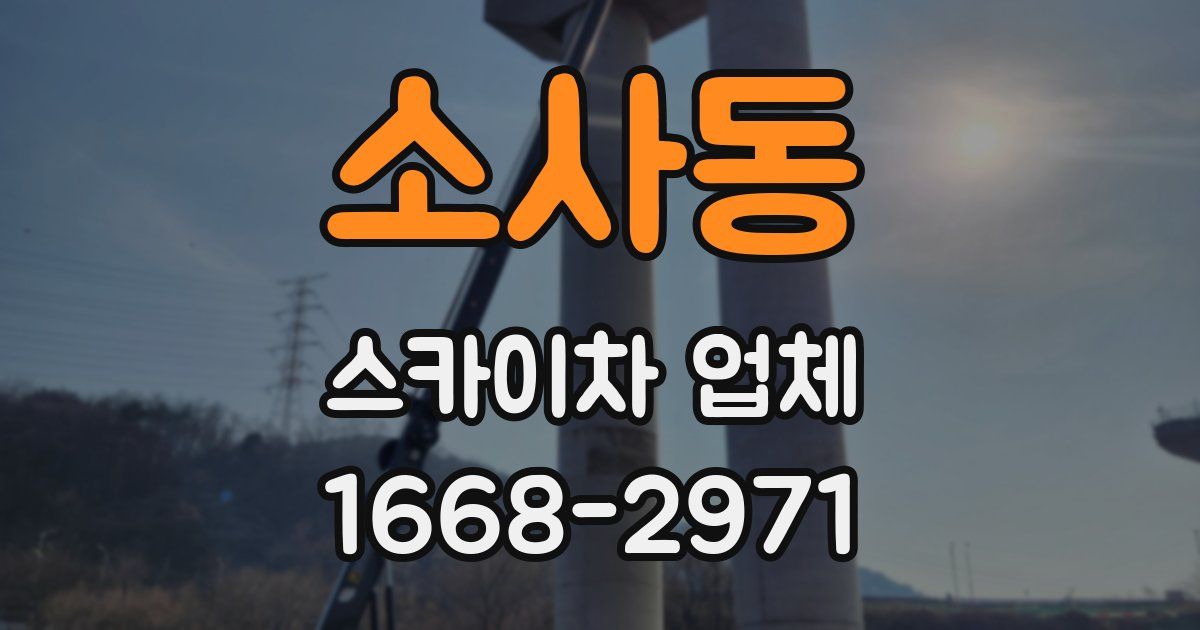소사동 스카이차 업체