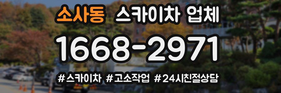 소사동 스카이차 업체