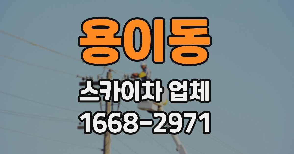 용이동 스카이차 업체