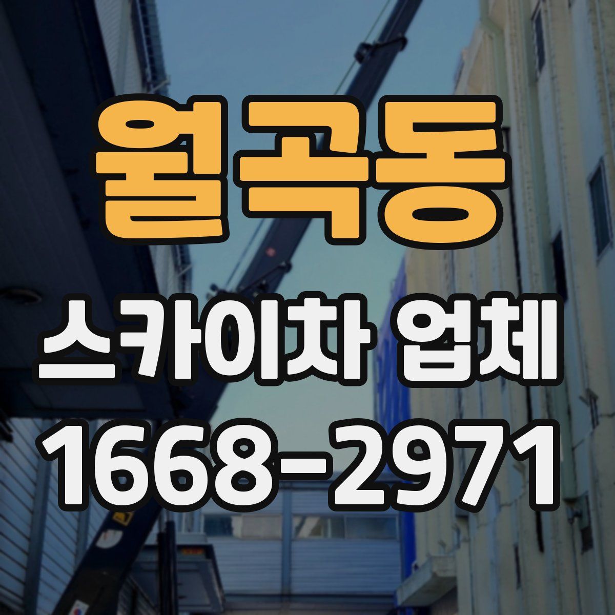월곡동 스카이차 업체