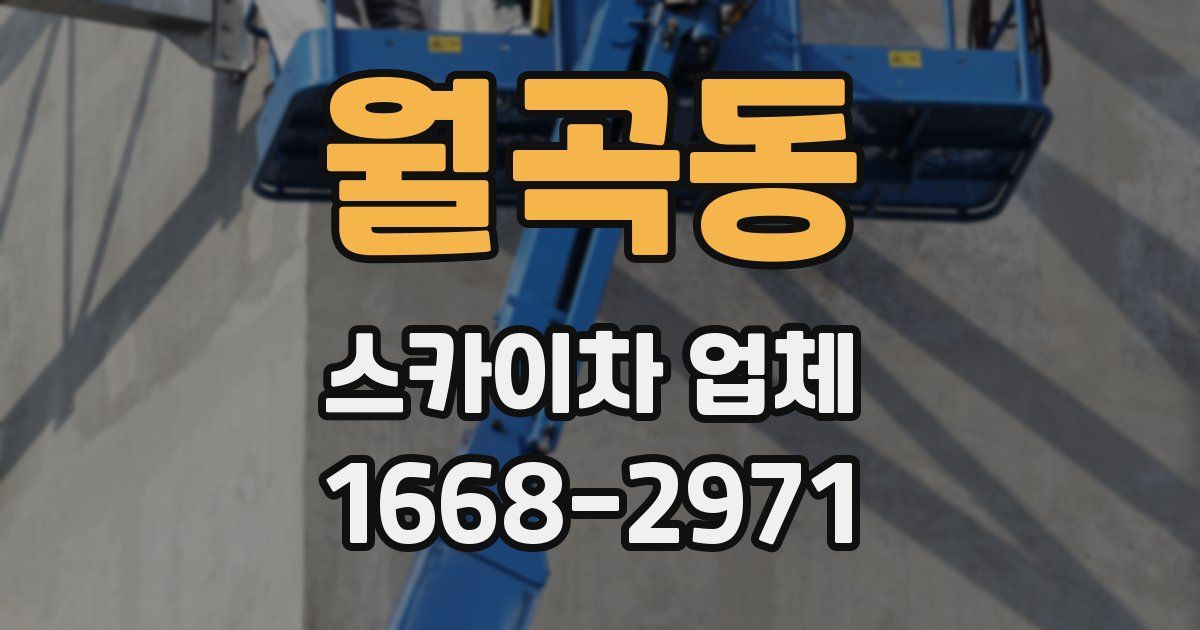 월곡동 스카이차 업체