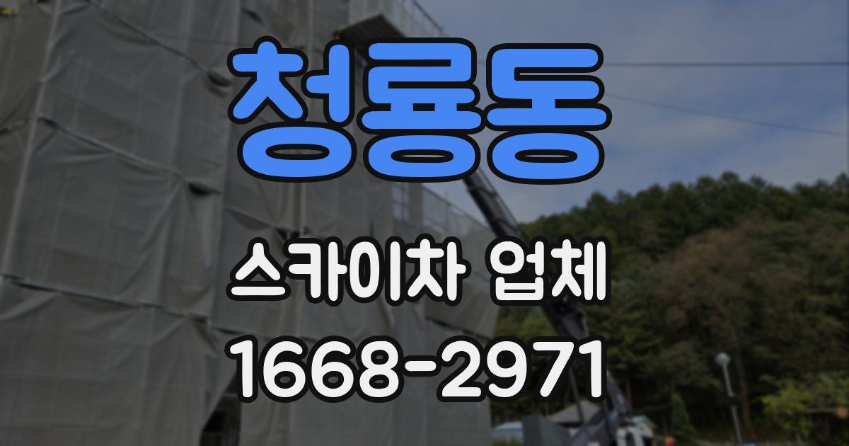 청룡동 스카이차 업체