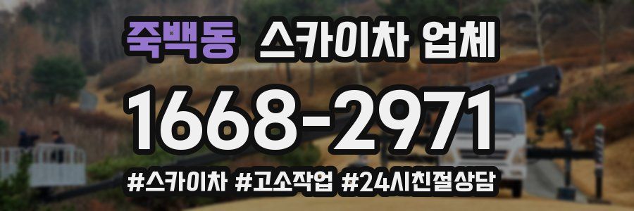 죽백동 스카이차 업체