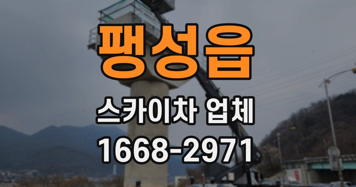 팽성읍 스카이차 업체