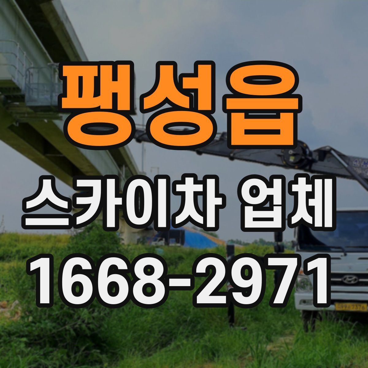 팽성읍 스카이차 업체
