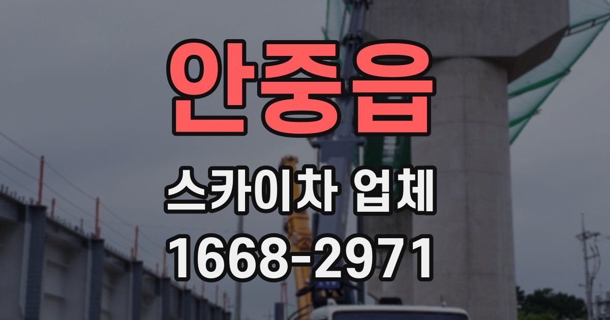 안중읍 스카이차 업체