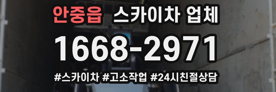 안중읍 스카이차 업체