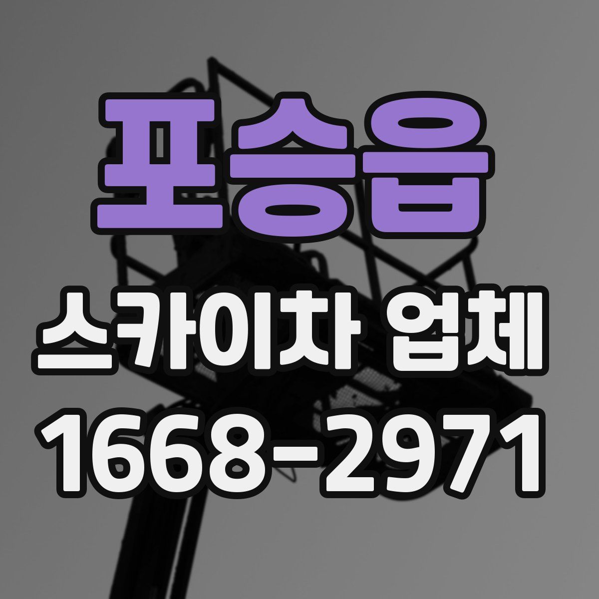 포승읍 스카이차 업체