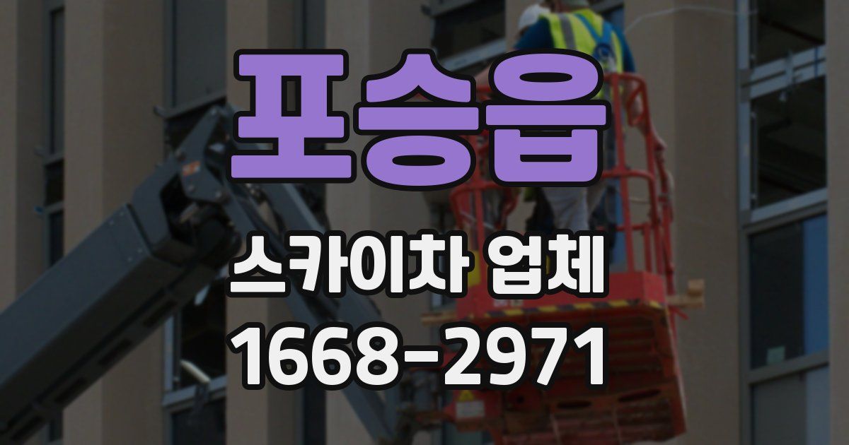 포승읍 스카이차 업체
