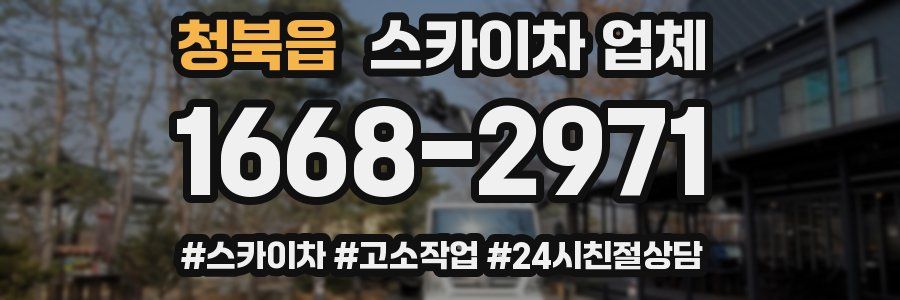 청북읍 스카이차 업체