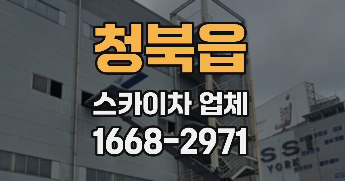 청북읍 스카이차 업체