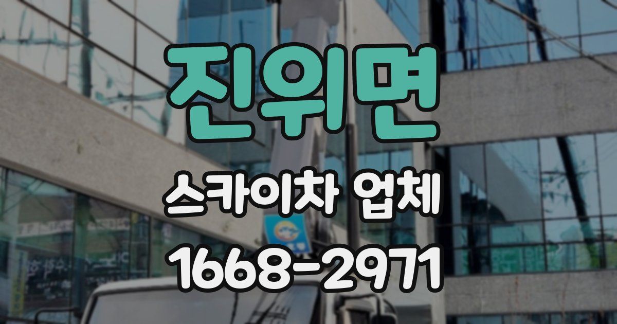 진위면 스카이차 업체