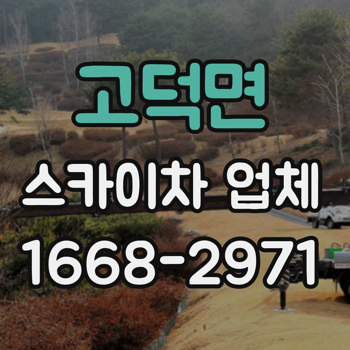 고덕면 스카이차 업체