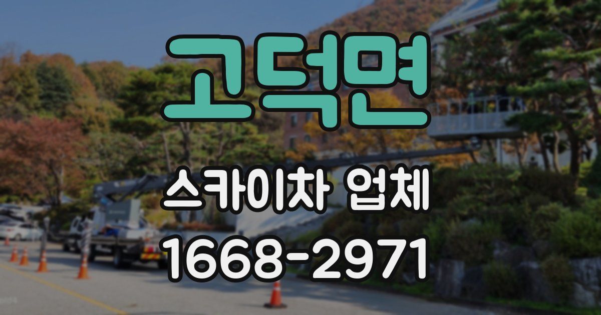 고덕면 스카이차 업체