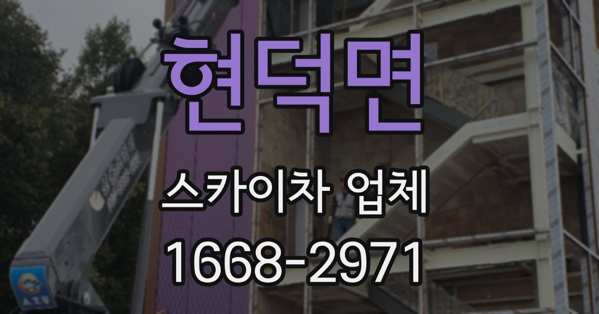 현덕면 스카이차 업체