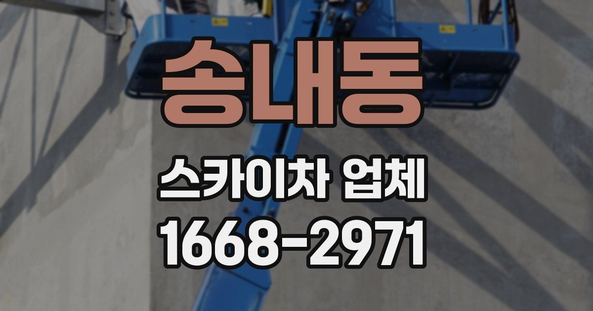 송내동 스카이차 업체