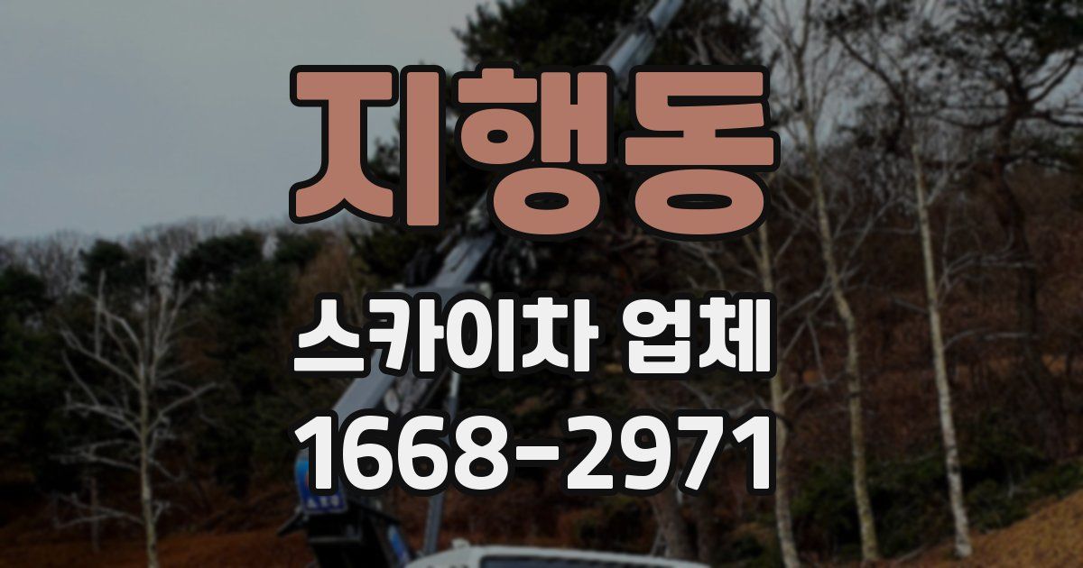 지행동 스카이차 업체