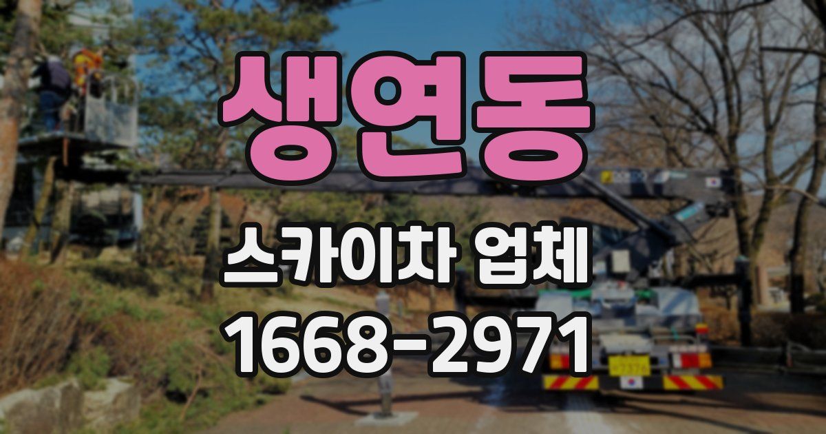 생연동 스카이차 업체