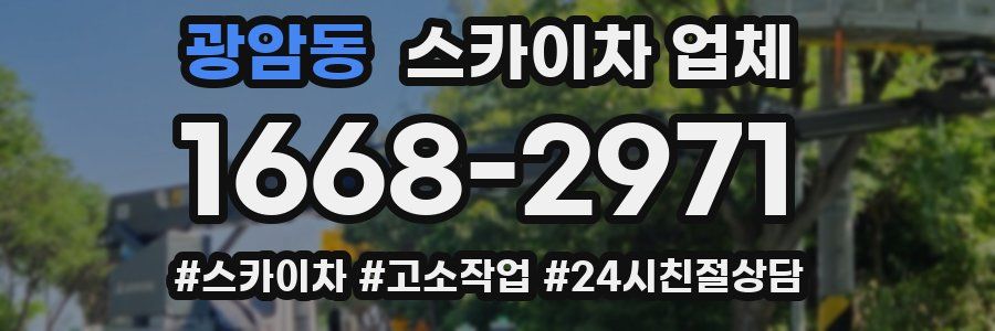 광암동 스카이차 업체