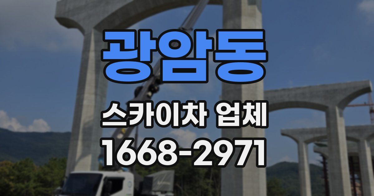 광암동 스카이차 업체