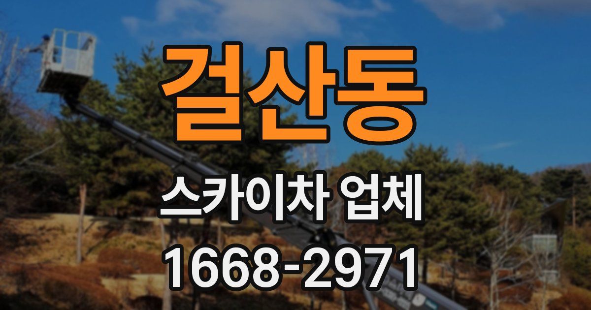 걸산동 스카이차 업체